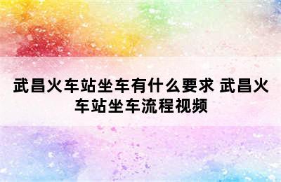 武昌火车站坐车有什么要求 武昌火车站坐车流程视频